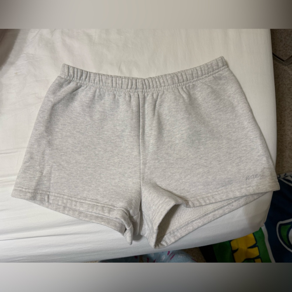 Aritzia Gray Women's Shorts